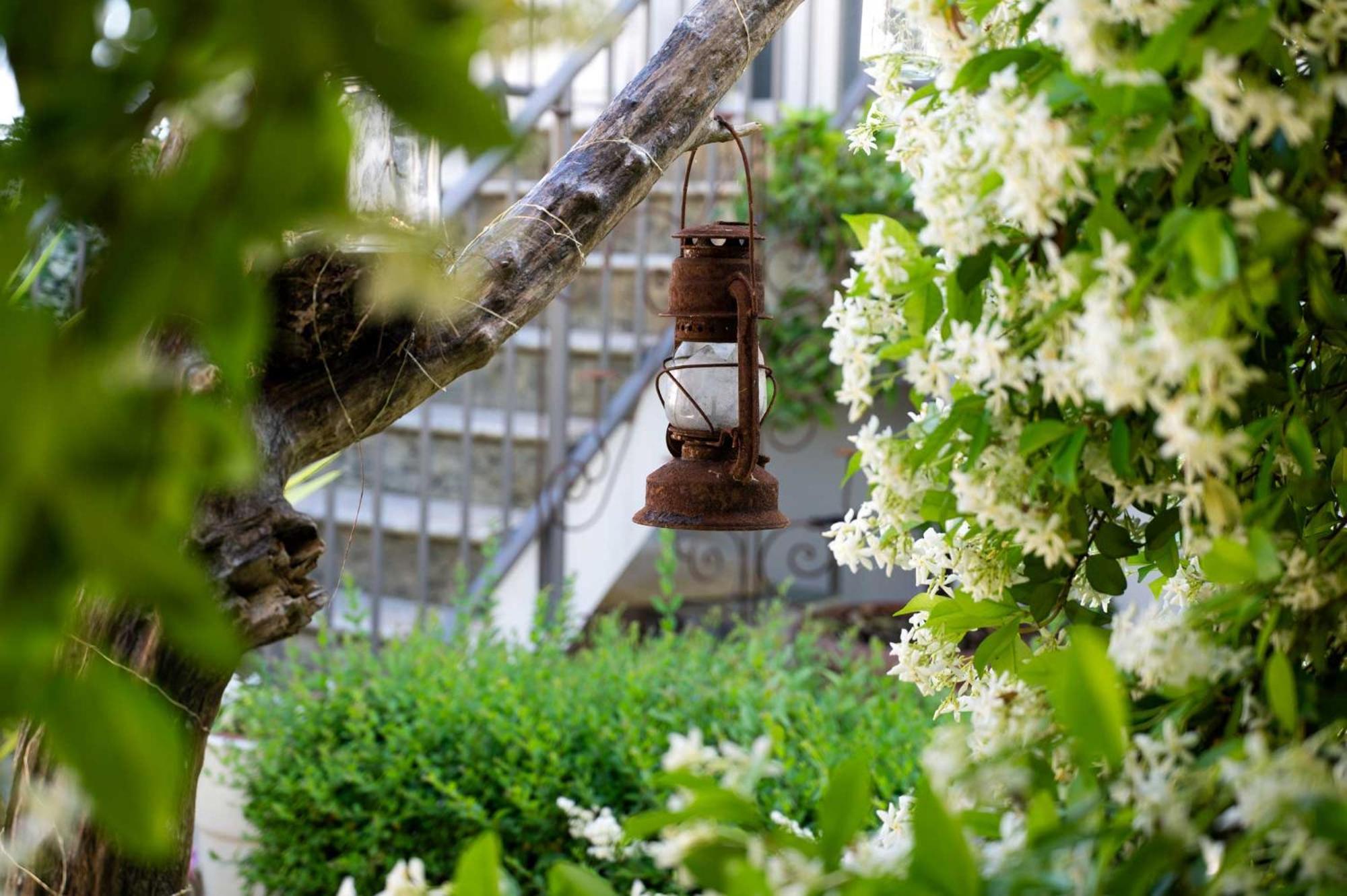 チェゼーナ La Garampa Bed & Breakfast エクステリア 写真